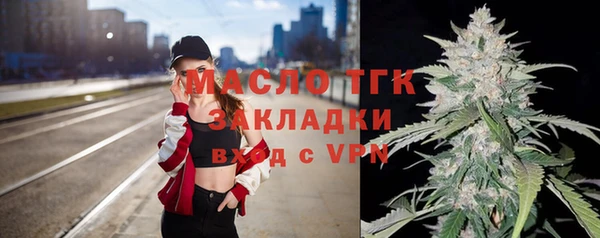индика Бородино