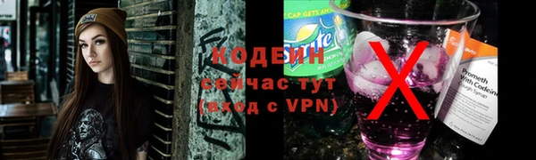 индика Бородино
