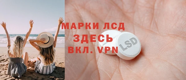 индика Бородино