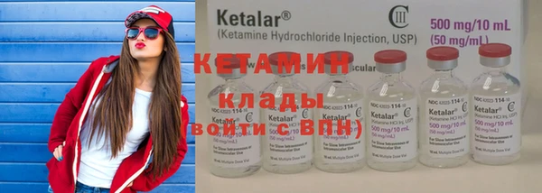 индика Бородино