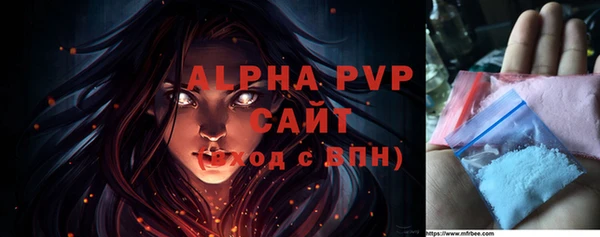 индика Бородино