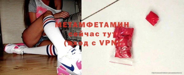 индика Бородино