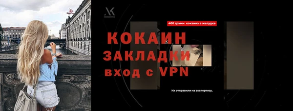 индика Бородино