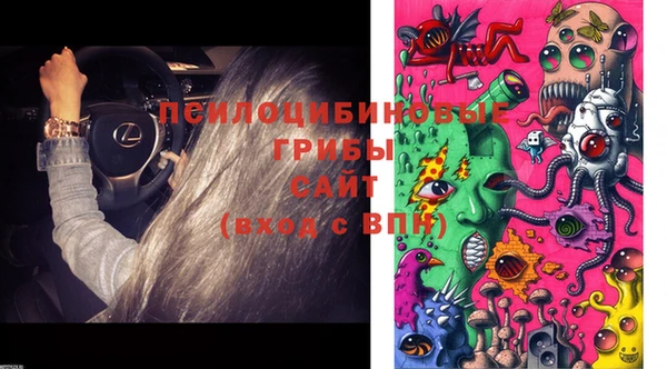 а пвп мука Бугульма
