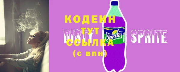 индика Бородино