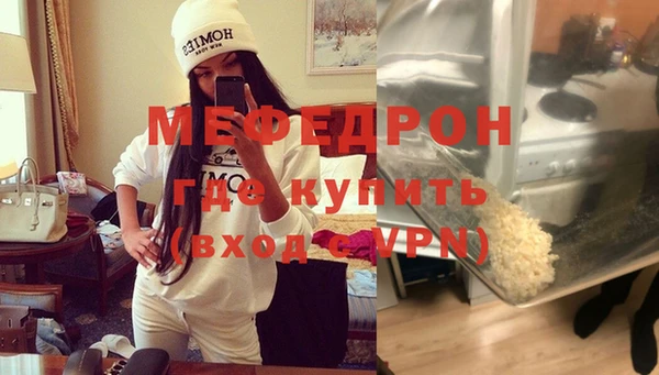 индика Бородино