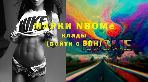 индика Бородино