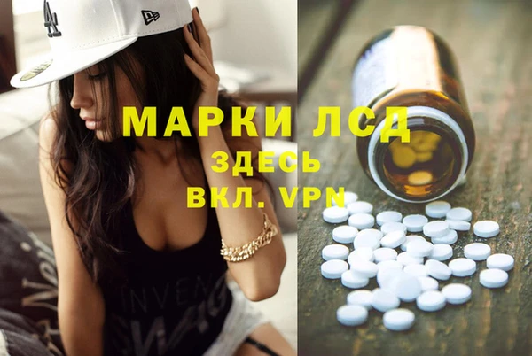 индика Бородино