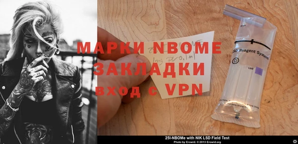индика Бородино