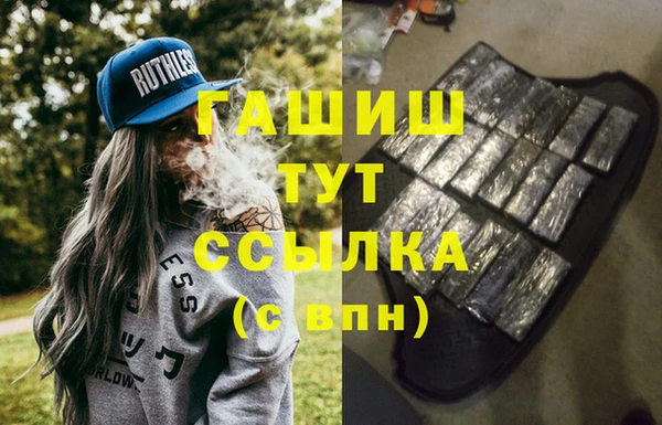 индика Бородино