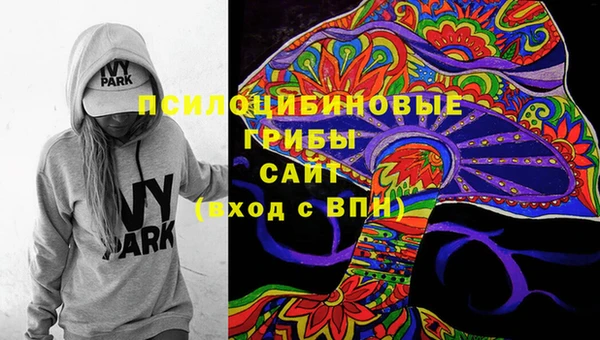 а пвп мука Бугульма