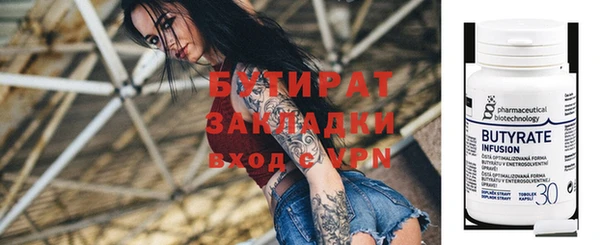 индика Бородино