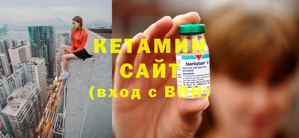 индика Бородино