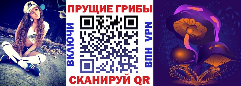 Псилоцибиновые грибы мухоморы  купить наркотик  Астрахань 